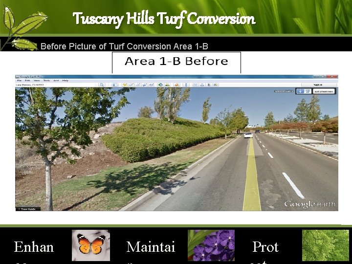 Tuscany Hills Turf Conversion Before Picture of Turf Conversion Area 1 -B Enhan Maintai