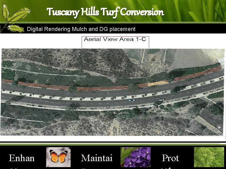 Tuscany Hills Turf Conversion Digital Rendering Mulch and DG placement Enhan Maintai Prot 