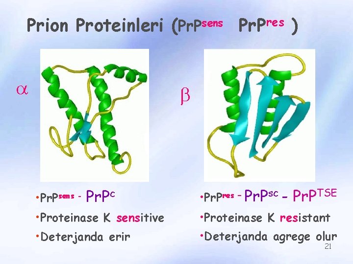 Prion Proteinleri (Pr. Psens Pr. Pres ) a b • Pr. Psens - Pr.