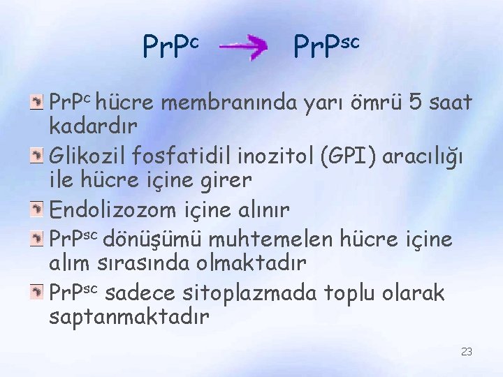 Pr. Pc Pr. Psc Pr. Pc hücre membranında yarı ömrü 5 saat kadardır Glikozil