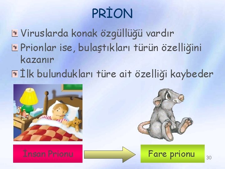 PRİON Viruslarda konak özgüllüğü vardır Prionlar ise, bulaştıkları türün özelliğini kazanır İlk bulundukları türe