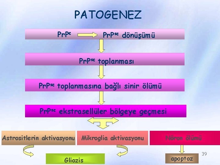 PATOGENEZ Pr. Pc Pr. Psc dönüşümü Pr. Psc toplanmasına bağlı sinir ölümü Pr. Psc