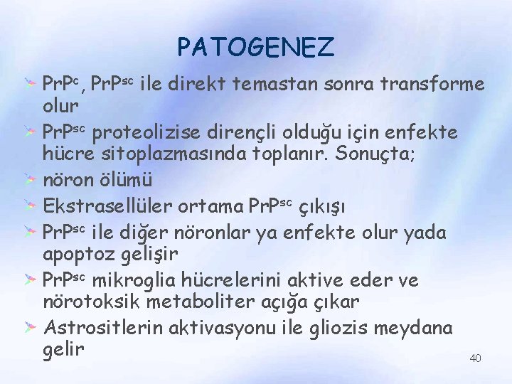 PATOGENEZ Pr. Pc, Pr. Psc ile direkt temastan sonra transforme olur Pr. Psc proteolizise