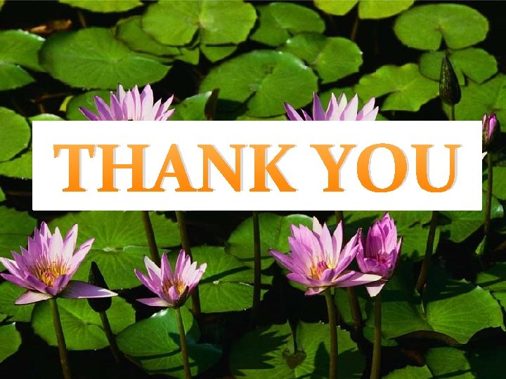 THANK YOU 