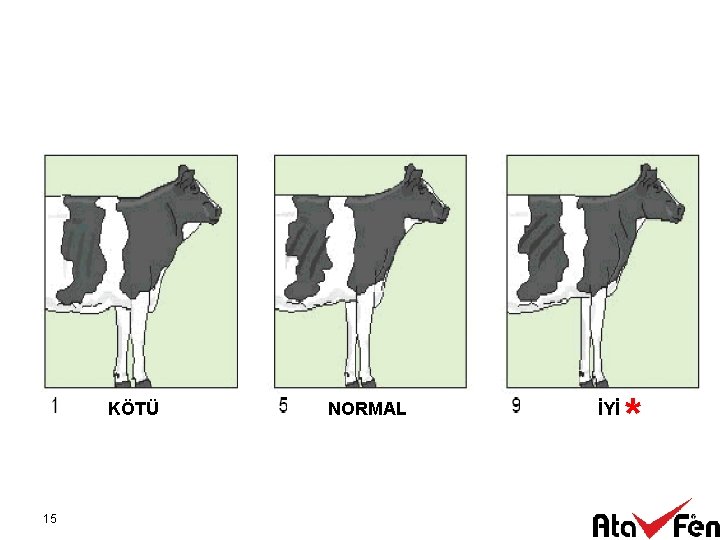 KÖTÜ 15 NORMAL İYİ * 