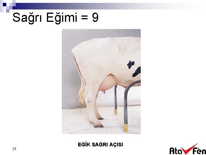 Sağrı Eğimi = 9 25 EĞİK SAĞRI AÇISI 