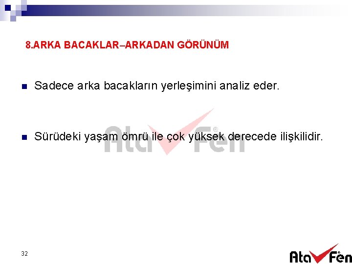 8. ARKA BACAKLAR–ARKADAN GÖRÜNÜM n Sadece arka bacakların yerleşimini analiz eder. n Sürüdeki yaşam