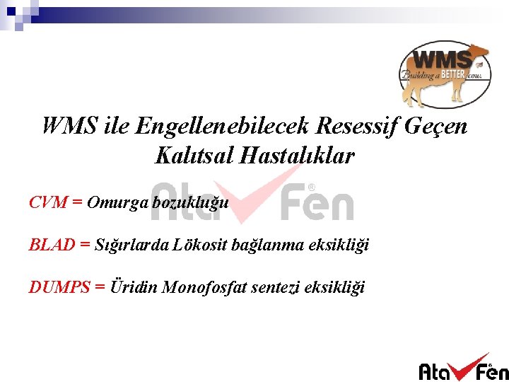 WMS ile Engellenebilecek Resessif Geçen Kalıtsal Hastalıklar CVM = Omurga bozukluğu BLAD = Sığırlarda