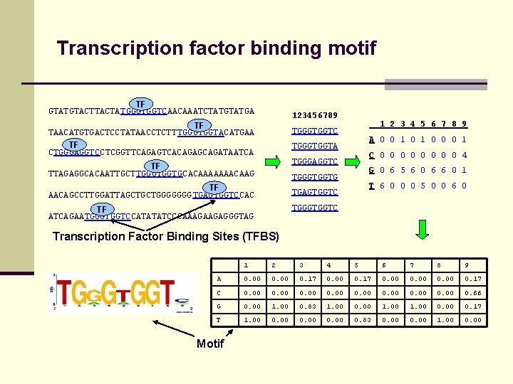 Transcription factor binding motif TF GTATGTACTATGGGTGGTCAACAAATCTATGA 123456789 TF TAACATGTGACTCCTATAACCTCTT TGGGTGGTACATGAA TF CTGGGAGGTCCTCGGTTCAGAGTCACAGAGCAGATAATCA 1 2