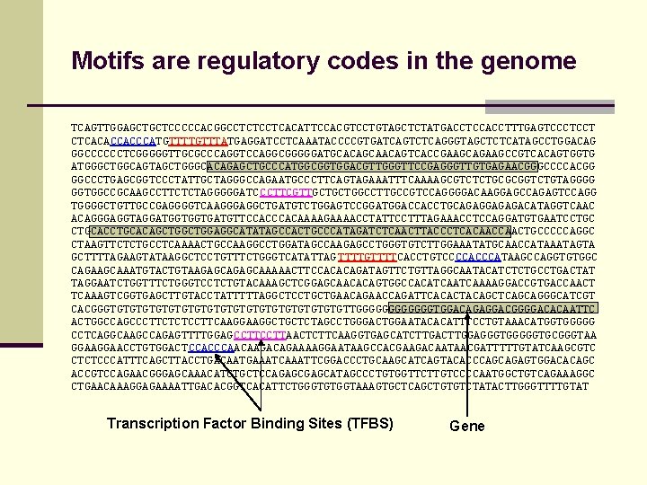 Motifs are regulatory codes in the genome TCAGTTGGAGCTGCTCCCCCACGGCCTCTCCTCACATTCCACGTCCTGTAGCTCTATGACCTCCACCTTTGAGTCCCTCCT CTCACACCACCCATGTTTATGAGGATCCTCAAATACCCCGTGATCAGTCTCAGGGTAGCTCTCATAGCCTGGACAG GGCCCCCCTCGGGGGTTGCGCCCAGGTCCAGGCGGGGGATGCACAGCAACAGTCACCGAAGCAGAAGCCGTCACAGTGGTG ATGGGCTGGCAGTAGCTGGGCACAGAGCTGCCCATGGCGGTGGACGTTGGGTTCCGAGGGTTGTGAGAACGGGCCCCACGG GGCCCTGAGCGGTCCCTATTGCTAGGGCCAGAATGCCCTTCAGTAGAAATTTCAAAAGCGTCTCTGCGCGGTCTGTAGGGG GGTGGCCGCAAGCCTTCTCTAGGGGGATC CCTTCGTTGCTGCTGGCCTTGCCGTCCAGGGGACAAGGAGCCAGAGTCCAGG