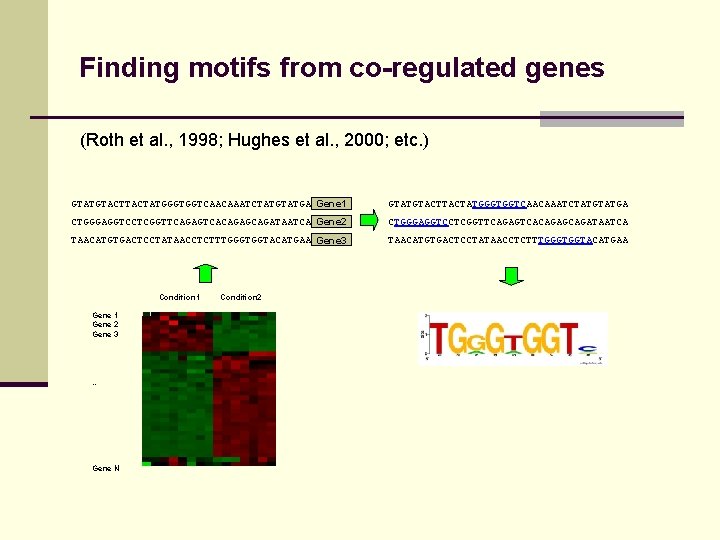 Finding motifs from co-regulated genes (Roth et al. , 1998; Hughes et al. ,