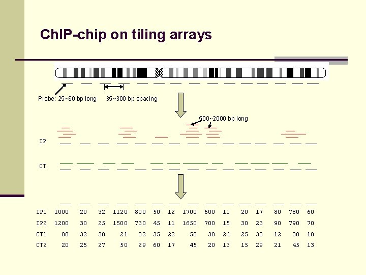 Ch. IP-chip on tiling arrays Probe: 25~60 bp long 35~300 bp spacing 500~2000 bp
