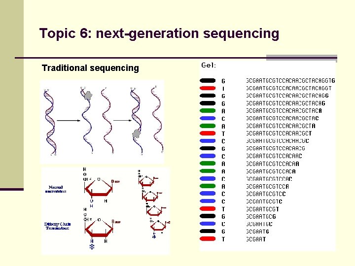 Topic 6: next-generation sequencing Traditional sequencing 