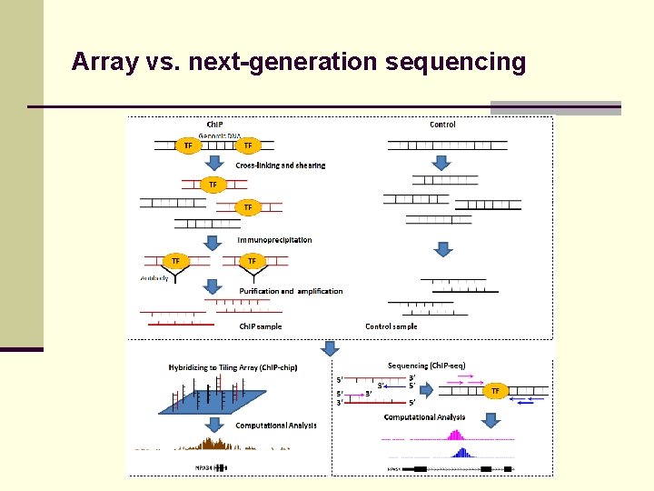 Array vs. next-generation sequencing 