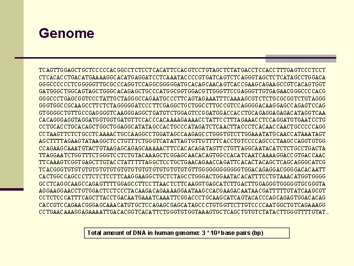 Genome TCAGTTGGAGCTGCTCCCCCACGGCCTCTCCTCACATTCCACGTCCTGTAGCTCTATGACCTCCACCTTTGAGTCCCTCCT CTCACACCTGACATGAAAAGGCACATGAGGATCCTCAAATACCCCGTGATCAGTCTCAGGGTAGCTCTCATAGCCTGGACA GGGCCCCCCTCGGGGGTTGCGCCCAGGTCCAGGCGGGGGATGCACAGCAACAGTCACCGAAGCAGAAGCCGTCACAGTGGT GATGGGCTGGCAGTAGCTGGGCACAGAGCTGCCCATGGCGGTGGACGTTGGGTTCCGAGGGTTGTGAGAACGGGCCCCACG GGGCCCTGAGCGGTCCCTATTGCTAGGGCCAGAATGCCCTTCAGTAGAAATTTCAAAAGCGTCTCTGCGCGGTCTGTAGGG GGGTGGCCGCAAGCCTTCTCTAGGGGGATCCCTTCGAGGCTGCTGGCCTTGCCGTCCAGGGGACAAGGAGCCAGAGTCCAG GTGGGGCTGTTGCCGAGGGGTCAAGGGAGGCTGATGTCTGGAGTCCGGATGGACCACCTGCAGAGGAGAGACATAGGTCAA CACAGGGAGGTAGGATGGTGGTGATGTTCCACAAAAGAAAACCTATTCCTTTAGAAACCTCCAGGATGTGAATCCTGCACAGCTGGAGGCATATAGCCACTGCCCATAGATCTCAACTTACCCTCACAACTGCCCCCAGG CCTAAGTTCTCTGCCTCAAAACTGCCAAGGCCTGGATAGCCAAGAGCCTGGGTGTCTTGGAAATATGCAACCATAAATAGT AGCTTTTAGAAGTATAAGGCTCCTGTTTCTGGGTCATATTAGTGTTGTTTTCACCTGTCCCCAGCCCTAAGCCAGGTGTGG CCAGAAGCAAATGTACTGTAAGAGCAAAAACTTCCACACAGATAGTTCTGTTAGGCAATACATCTCTGCCTGACTA TTAGGAATCTGGTTTCTGGGTCCTCTGTACAAAGCTCGGAGCAACACAGTGGCCACATCAAAAGGACCGTGACCAAC TTCAAAGTCGGTGAGCTTGTACCTATTTTTAGGCTCCTGCTGAACAGAACCAGATTCACACTACAGCTCAGCAGGGCATCG