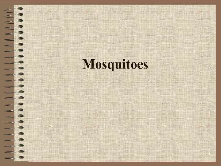 Mosquitoes 