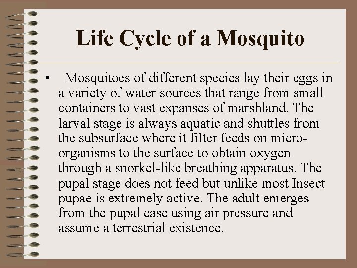 Life Cycle of a Mosquito • Mosquitoes of different species lay their eggs in