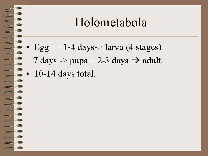Holometabola • Egg — 1 -4 days-> larva (4 stages)— 7 days -> pupa