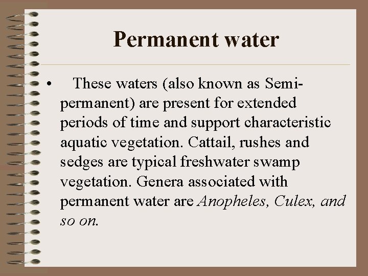 Permanent water • These waters (also known as Semipermanent) are present for extended periods