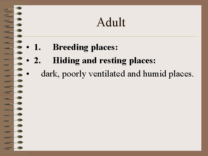 Adult • 1. Breeding places: • 2. Hiding and resting places: • dark, poorly