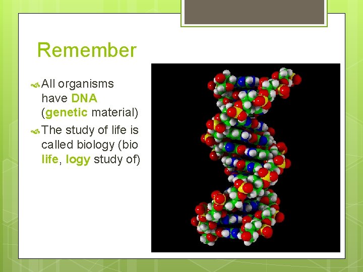 Remember All organisms have DNA (genetic material) The study of life is called biology
