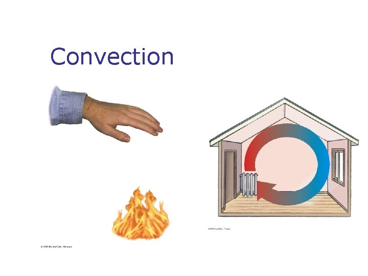 Convection Convection