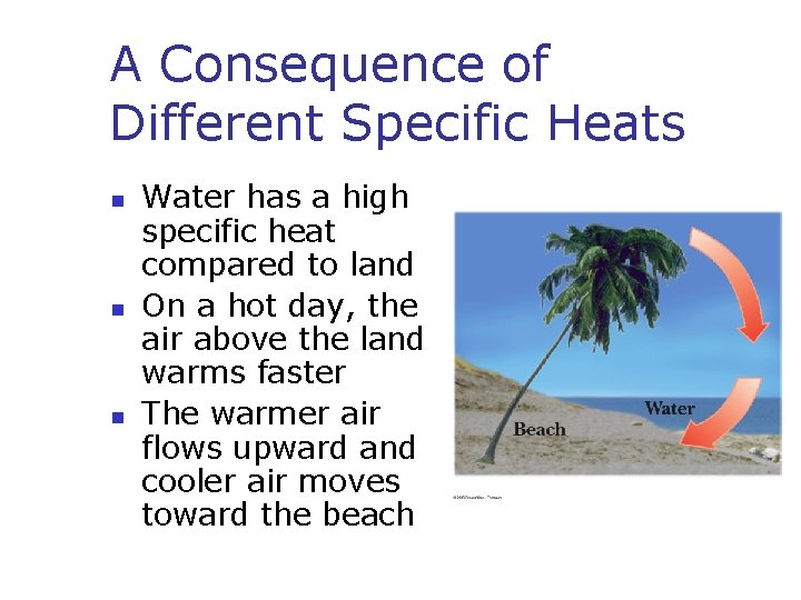 A Consequence of Different Specific Heats n n n Water has a high specific A Consequence of Different Specific Heats n n n Water has a high specific