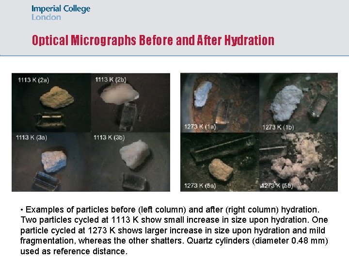 Optical Micrographs Before and After Hydration • Examples of particles before (left column) and