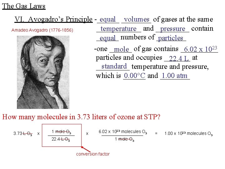 The Gas Laws VI. Avogadro’s Principle -______ equal ____ volumes of gases at the