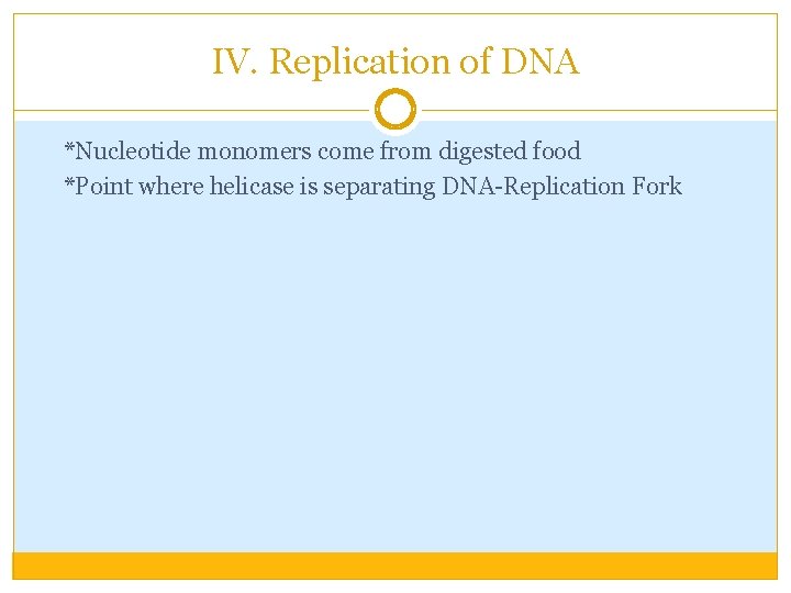 IV. Replication of DNA *Nucleotide monomers come from digested food *Point where helicase is