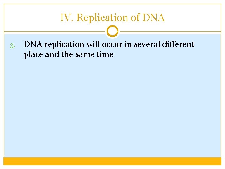 IV. Replication of DNA 3. DNA replication will occur in several different place and