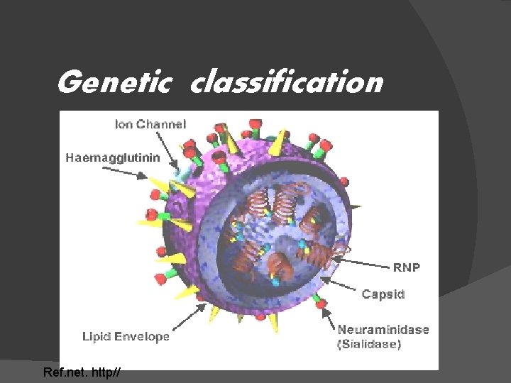 Genetic classification Ref. net. http// 