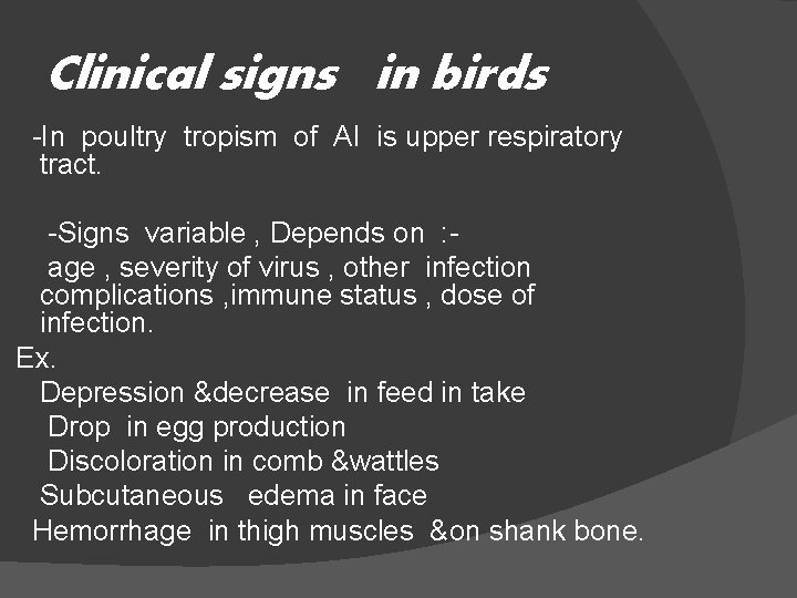 Clinical signs in birds -In poultry tropism of AI is upper respiratory tract. -Signs