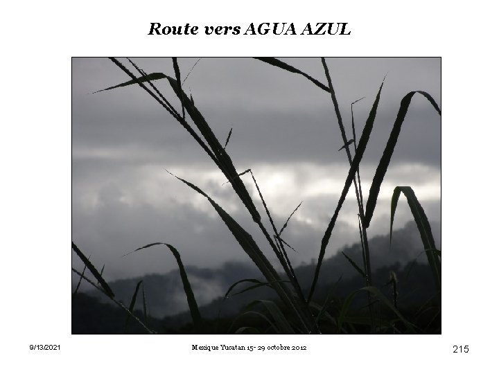 Route vers AGUA AZUL 9/13/2021 Mexique Yucatan 15 - 29 octobre 2012 215 