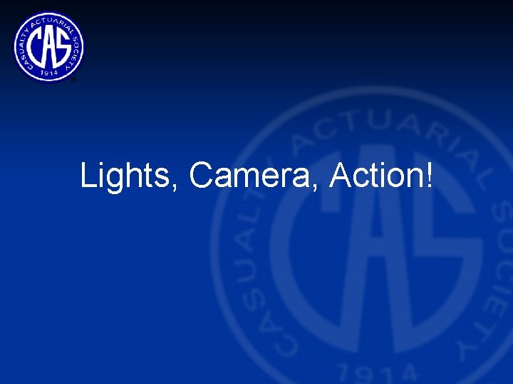 Lights, Camera, Action! 