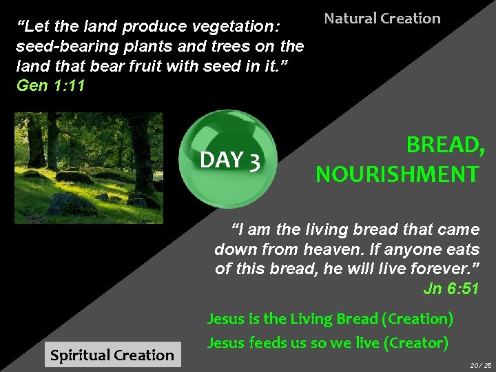 “Let the land produce vegetation: seed-bearing plants and trees on the land that bear