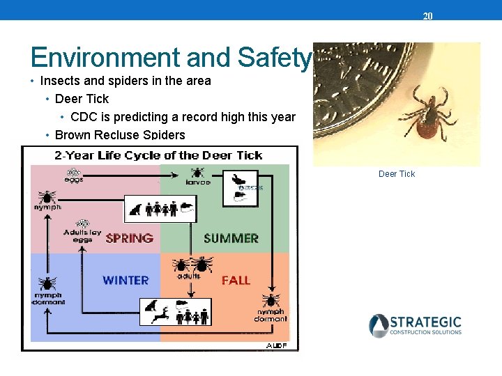 20 Environment and Safety • Insects and spiders in the area • Deer Tick