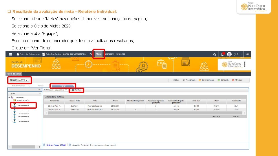 q Resultado da avaliação de meta – Relatório Individual: Selecione o ícone “Metas” nas