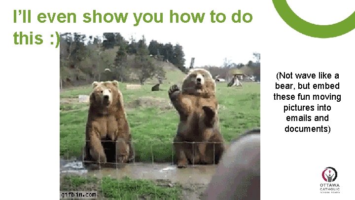 I’ll even show you how to do this : ) (Not wave like a