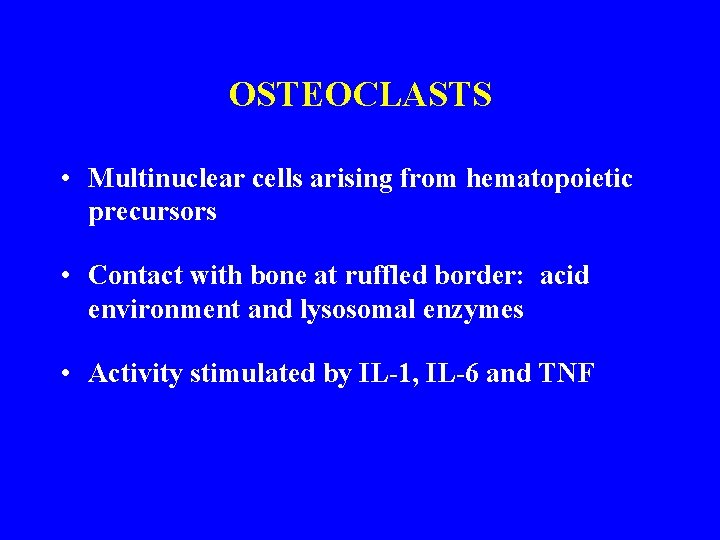 OSTEOCLASTS • Multinuclear cells arising from hematopoietic precursors • Contact with bone at ruffled