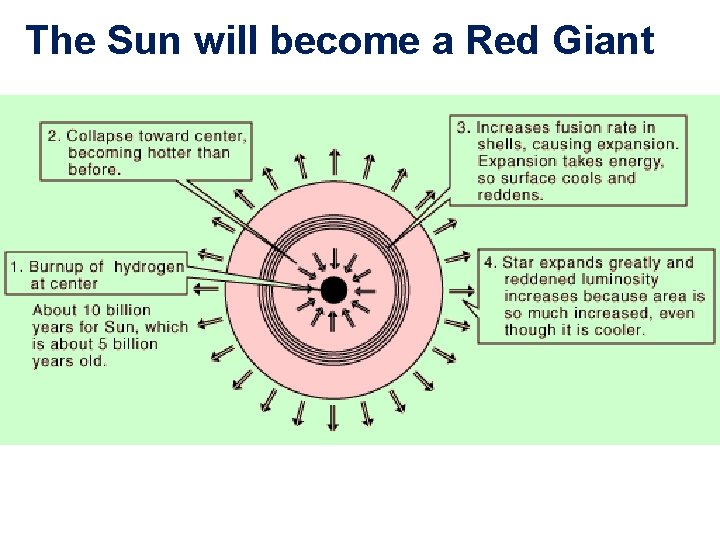 The Sun will become a Red Giant 