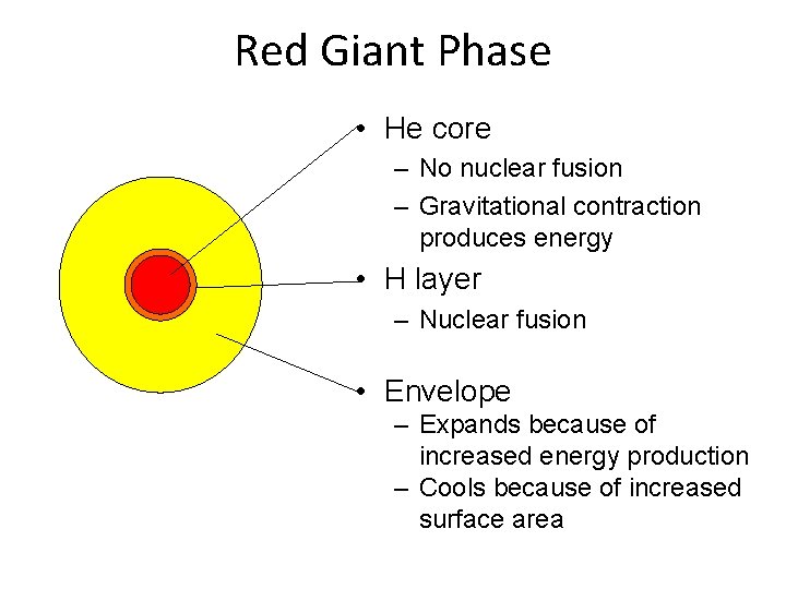 Red Giant Phase • He core – No nuclear fusion – Gravitational contraction produces