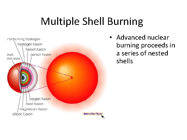 Multiple Shell Burning • Advanced nuclear burning proceeds in a series of nested shells