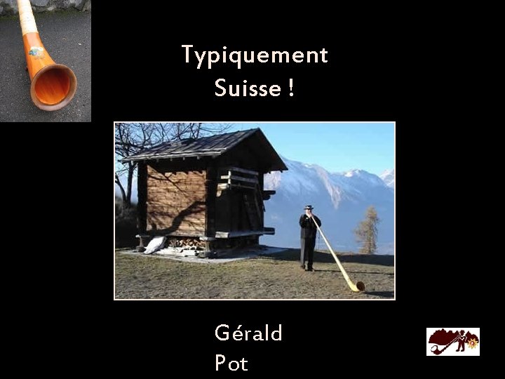 Typiquement Suisse ! Gérald Pot 