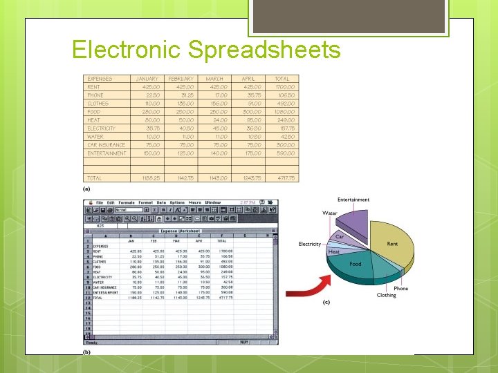 Electronic Spreadsheets 