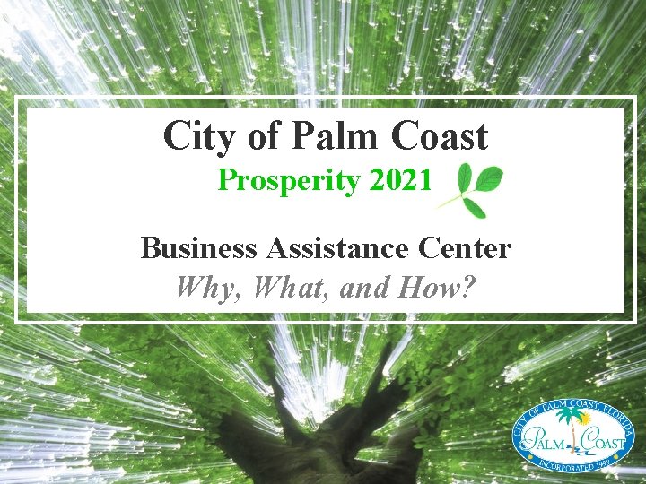 City of Palm Coast Prosperity 2021 Business Assistance Center Why, What, and How? 