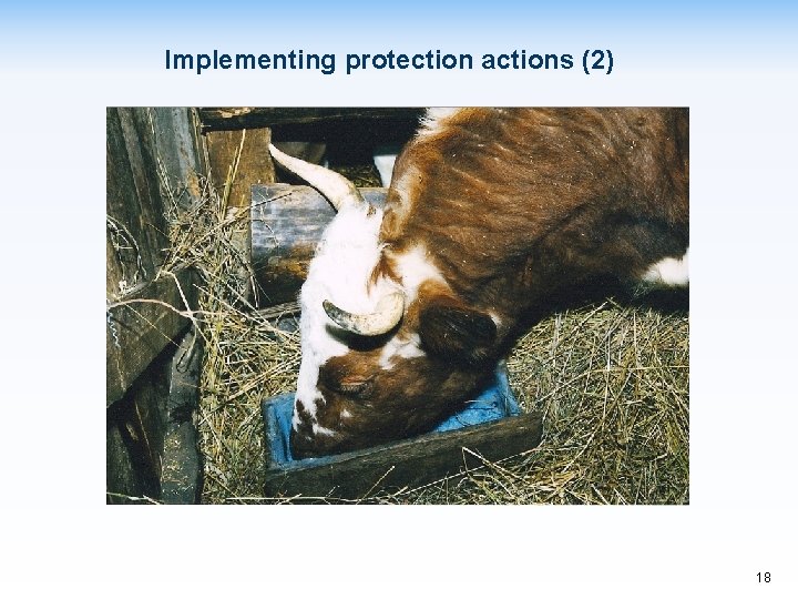 Implementing protection actions (2) 18 