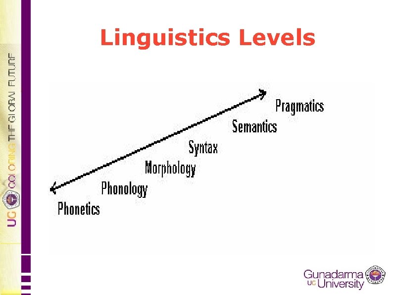 Linguistics Levels 