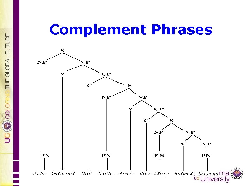 Complement Phrases 32 