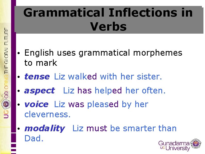 Grammatical Inflections in Verbs • English uses grammatical morphemes to mark • tense Liz